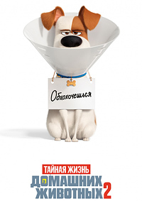 Тайная жизнь домашних животных 2 (2019)