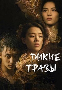 Дикие травы (2020)